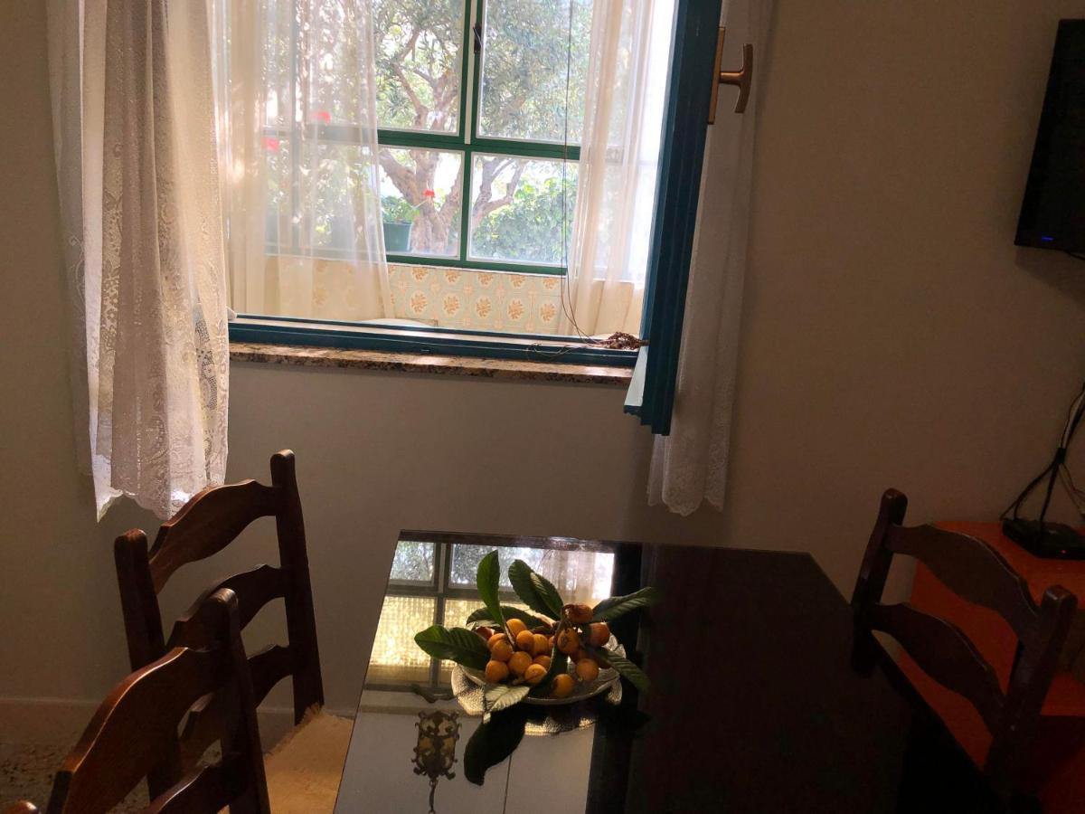 Garden Apartman 스플리트 외부 사진